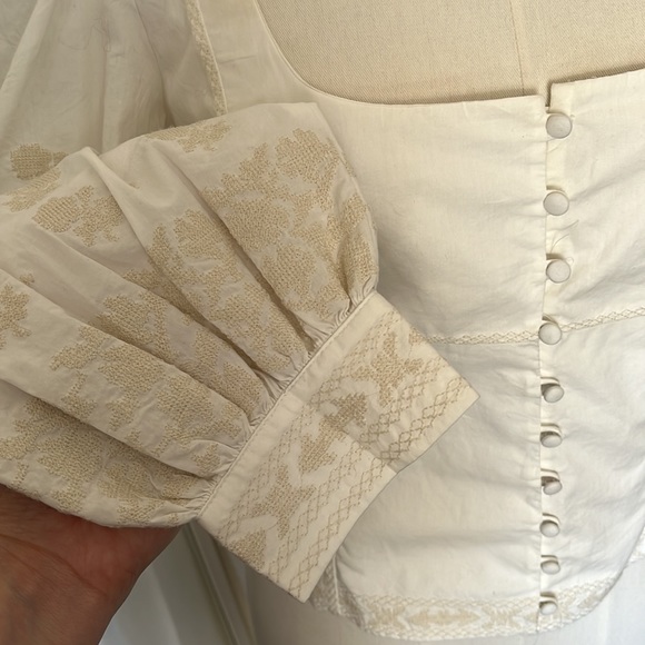 Wilfred Palo Santo Blouse (Aritzia) - Picture 4 of 7